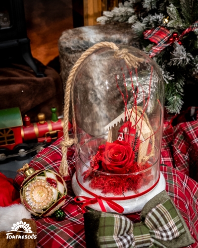 Rose rouge éternelle sous cloche avec décoration de Noël.